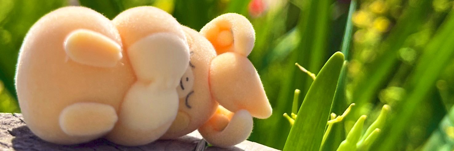 こあつ☀︎ banner