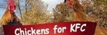 Eltripode banner