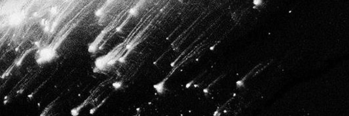 paliatibia's profile banner image