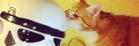 Kittykatgrr's profile banner image