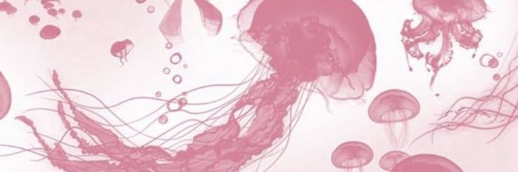 feyy⋆𐙚₊🍓˚⊹♡ banner