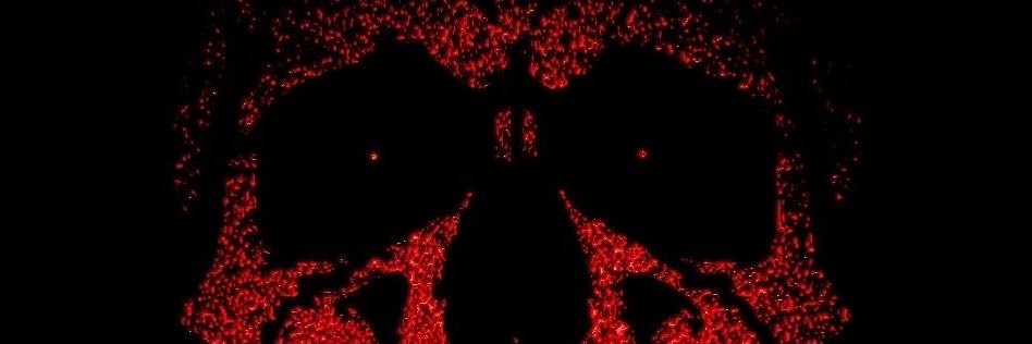 wedidntdoitbro's profile banner image