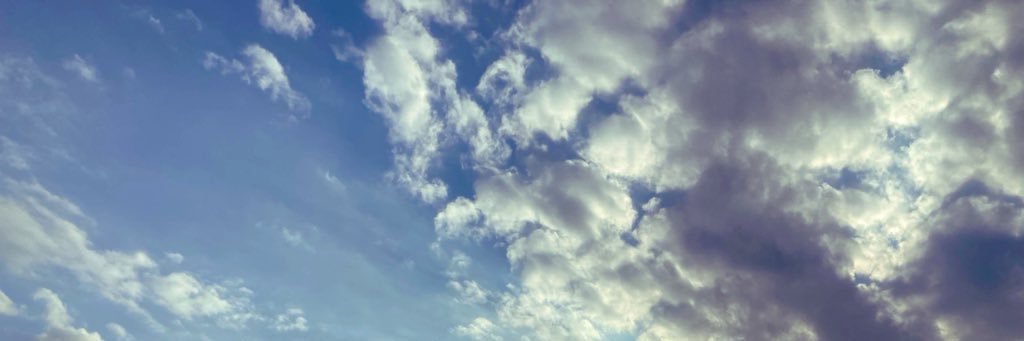 Cocco_sta_chan's profile banner image