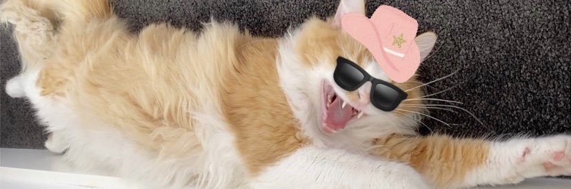 NickDobralitse's profile banner image