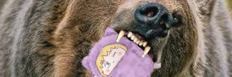 abear01's profile banner image