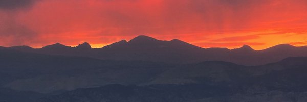 CynSigil Profile Banner