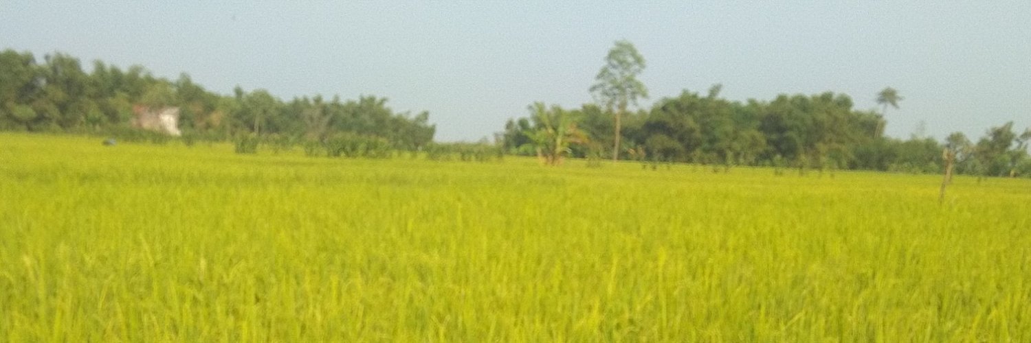 gopalindo's profile banner image