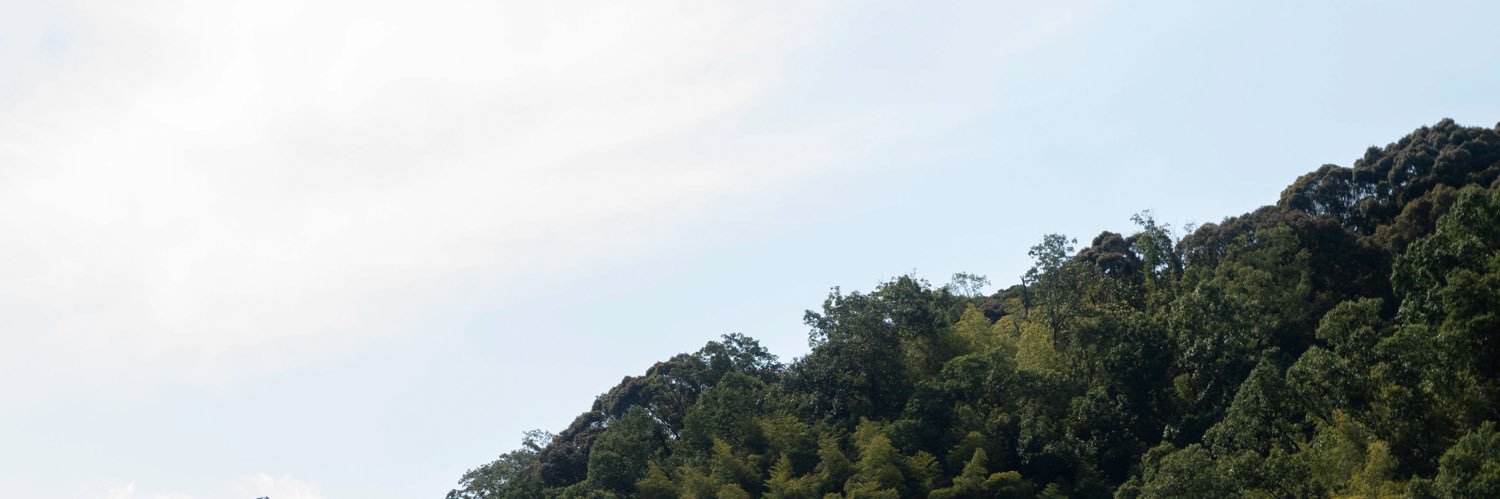 haku_pot's profile banner image