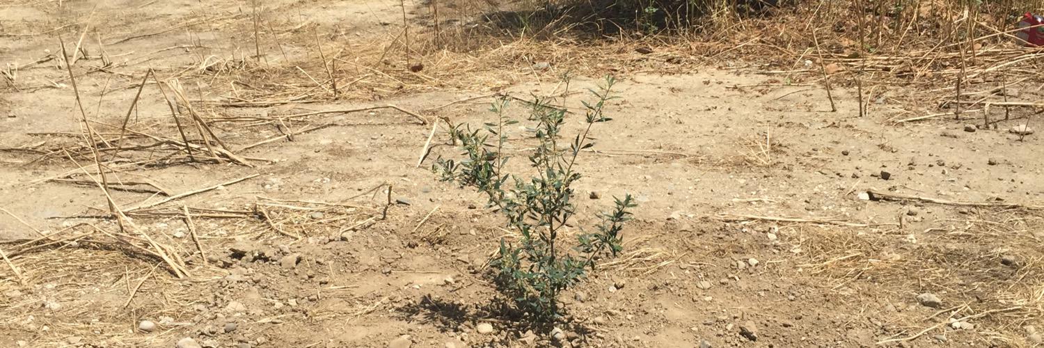 Πρόδρομος Προδρόμου Prodromos Prodromou (pprodromou) / Twitter