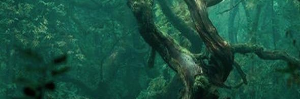 🔥Jammer🔥 banner