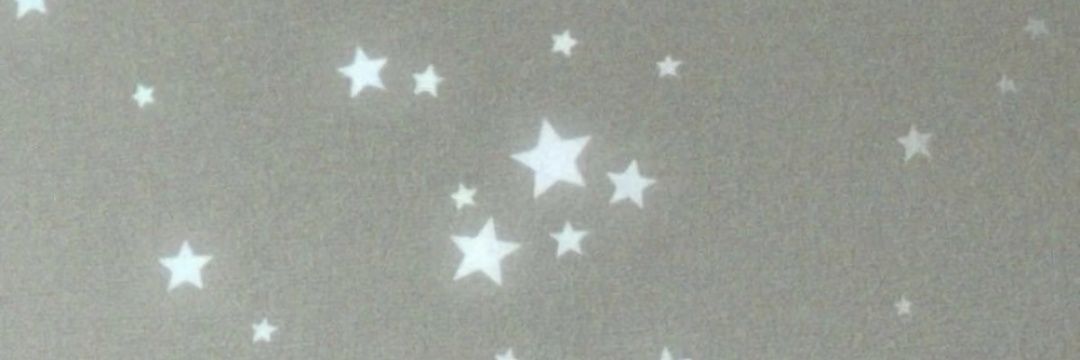 梨梨大王 banner