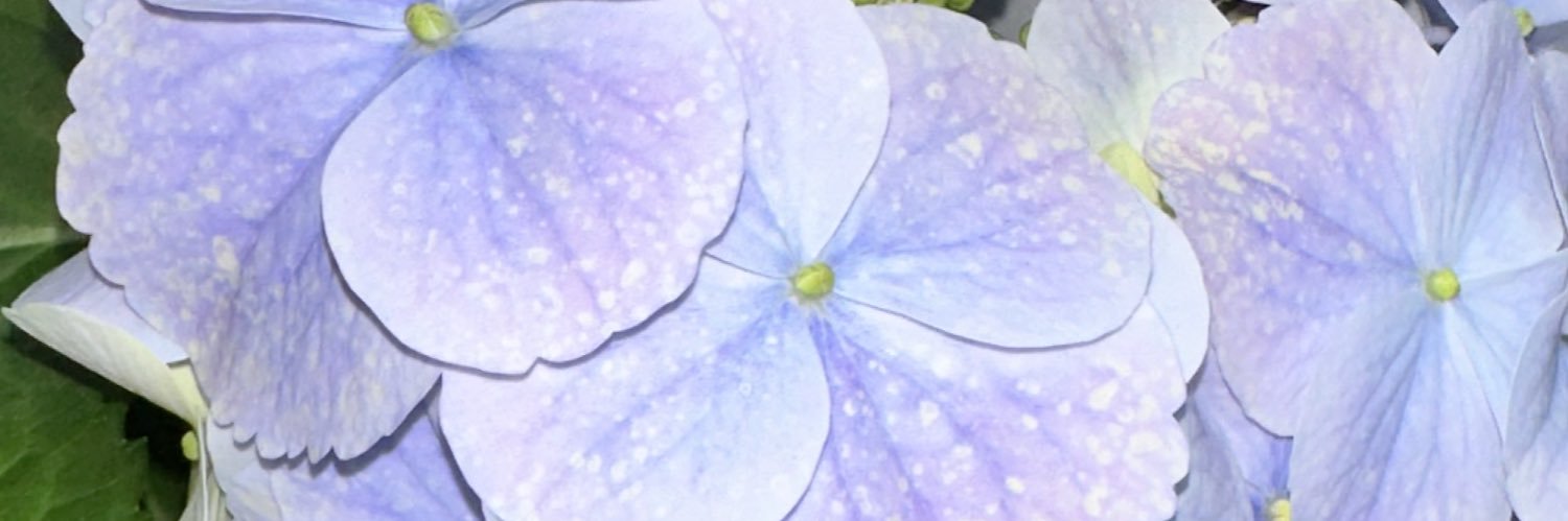 n5731_'s profile banner image