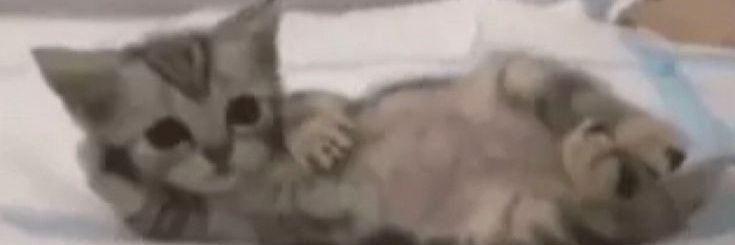 51! | UFSCAR Sorocaba banner