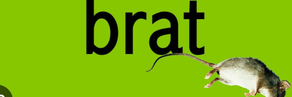 Destiny__Cee's profile banner image