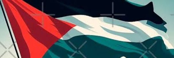 donie.doer banner