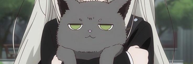 cxllmxdeer's profile banner image