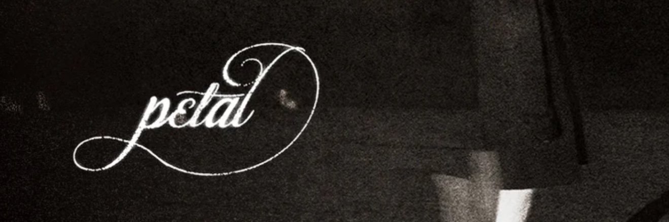 ⦮ ⦯ ⋆ EN- IS 7 ! ꕤ PETAL IS COMING banner