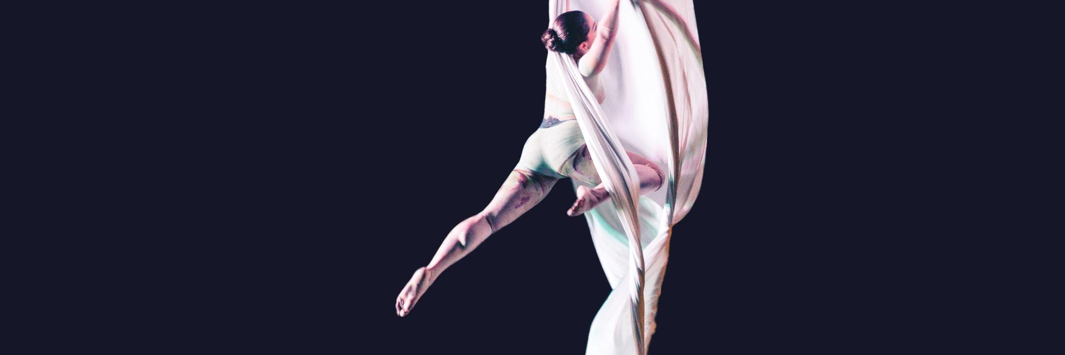 ArticusPro's profile banner image
