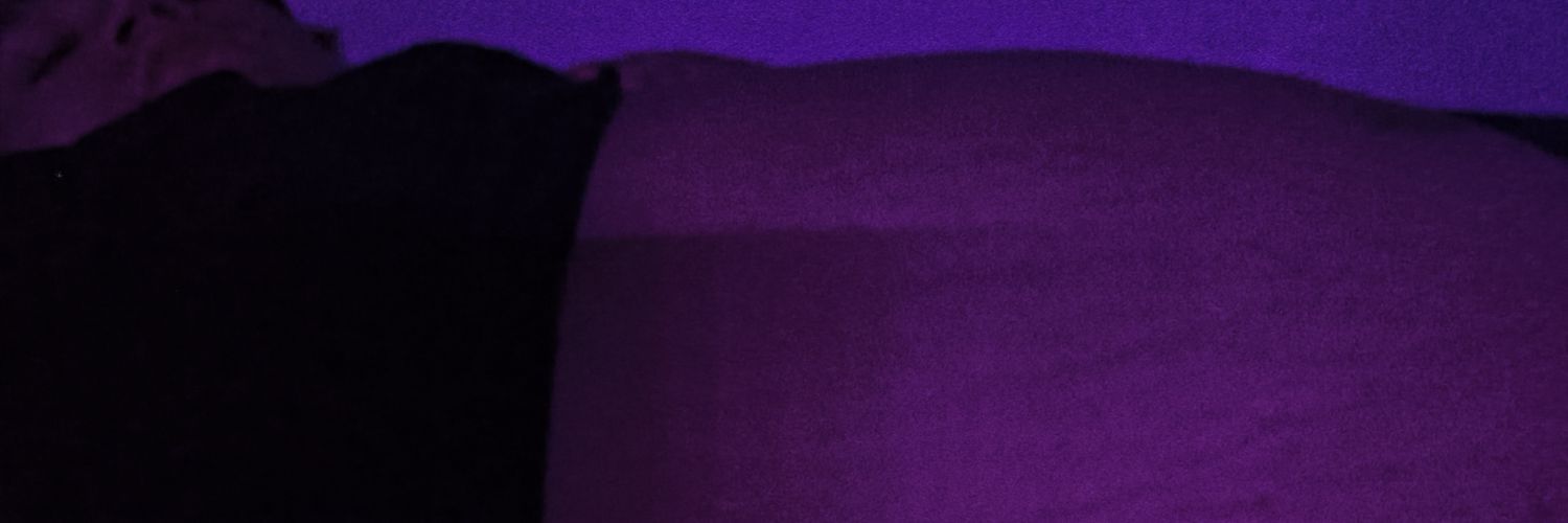 Eel Guy banner