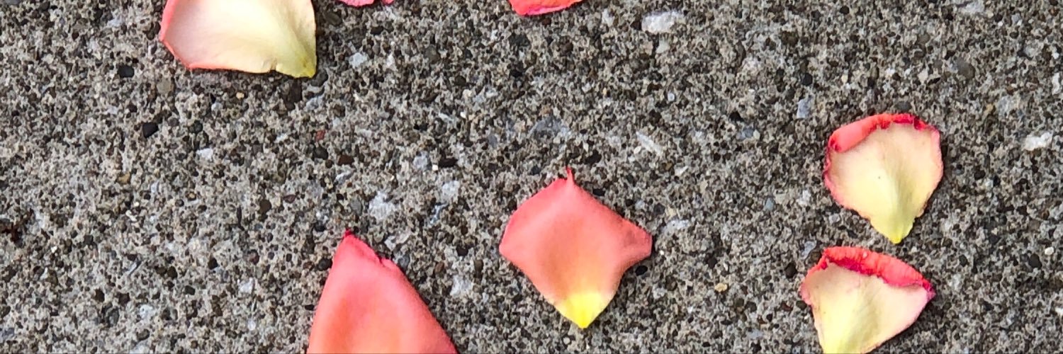 grimpnmayer's profile banner image