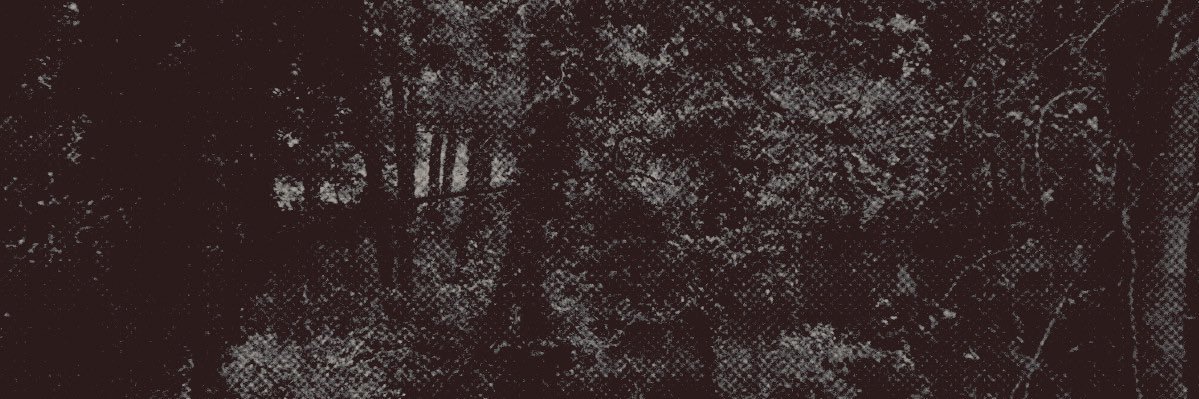 rockin’ ︎ ︎ ︎ rob͟in. banner