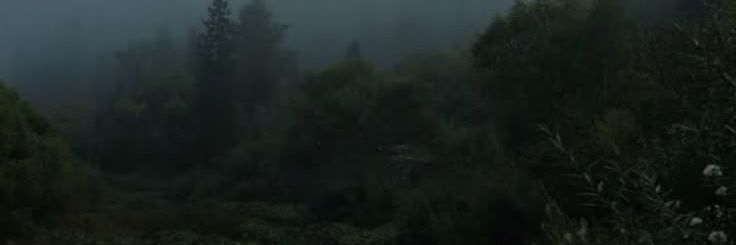 nyokaid's profile banner image