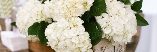 GreySomewhat Profile Banner