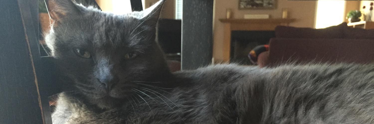 kdappp's profile banner image
