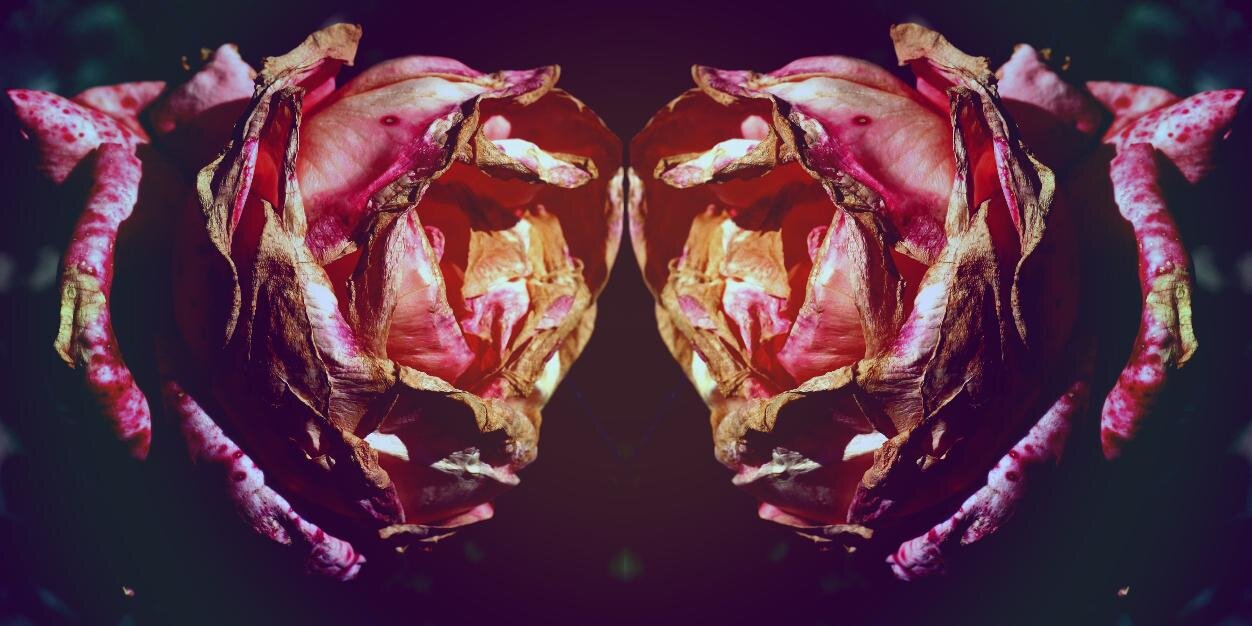 _perfectmess's profile banner image