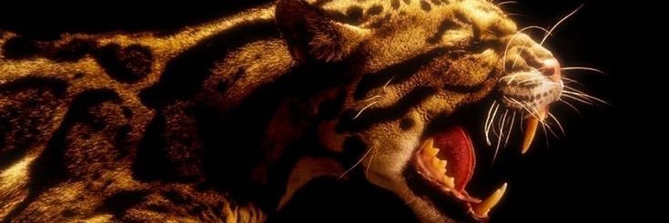 santythk's profile banner image