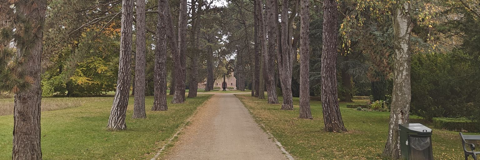 DagmarsDad's profile banner image