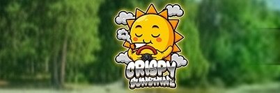 CrispySunshine0's profile banner image