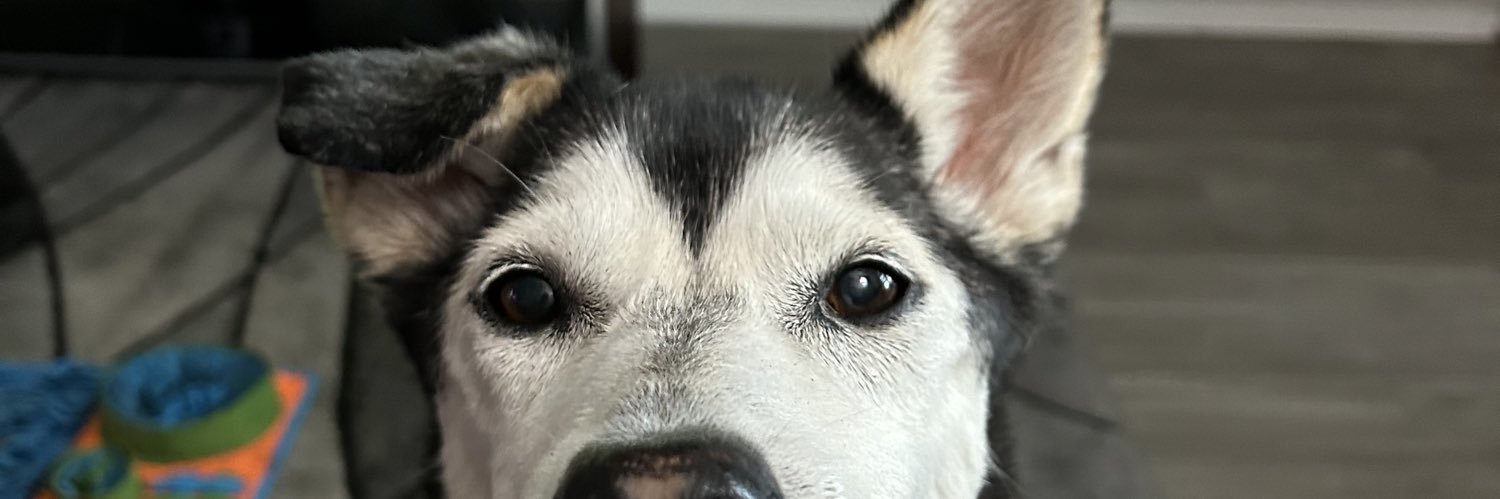 HarleighRenae's profile banner image