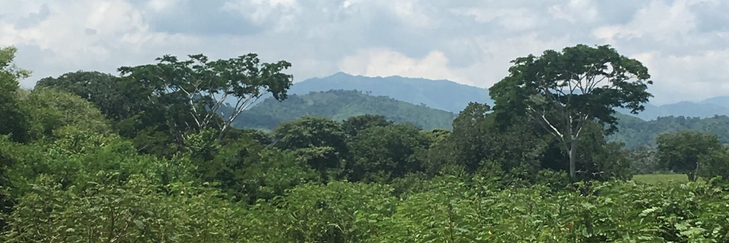 Migue Angel Serna. banner