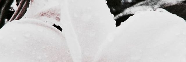 𝚢𝚞𝚖𝚎𝚒. banner
