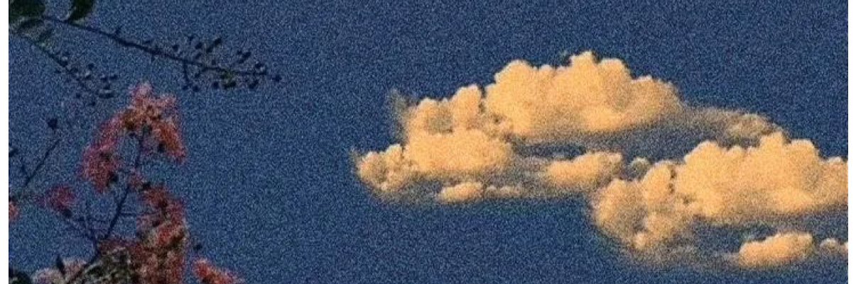 drshmurdamd's profile banner image