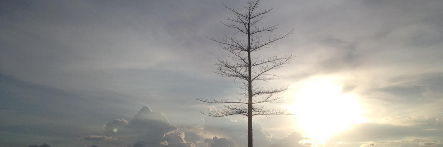 ardiealirezza's profile banner image
