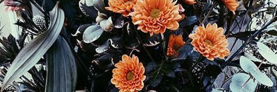 AliciaMerrillll's profile banner image