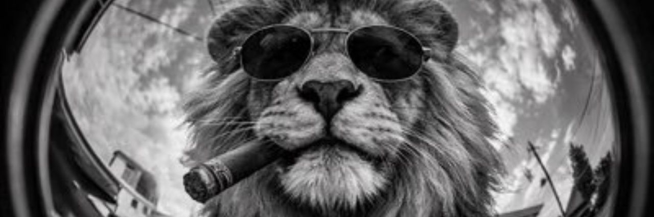 🧣YAVUZ 🟡🔴 banner