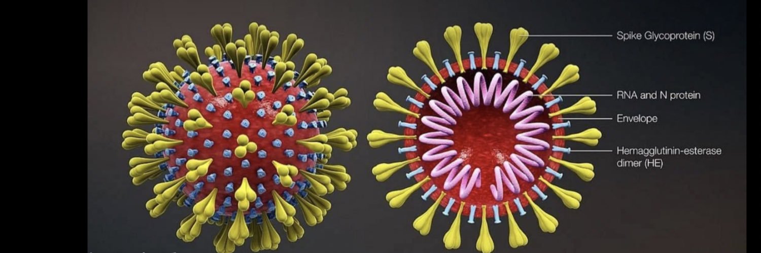 Mrs Misophonia banner