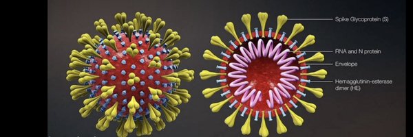 krustophalus Profile Banner