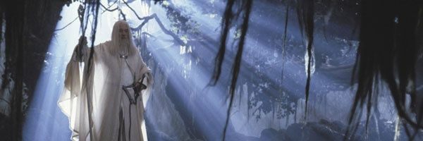 anchovy's banner