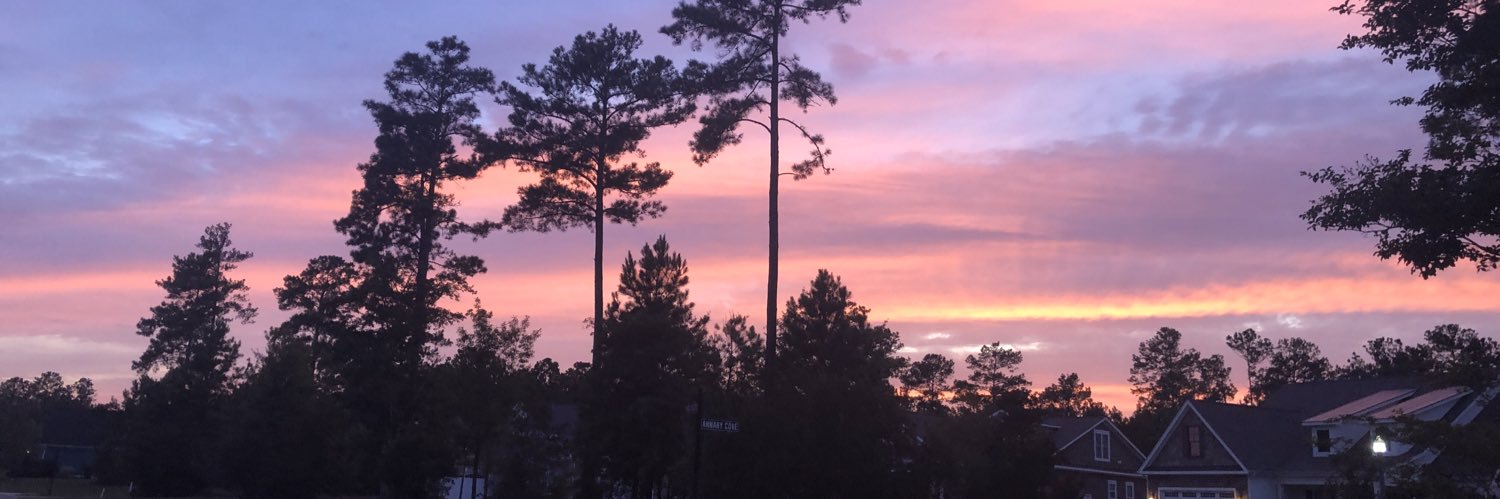 allisonkool's profile banner image