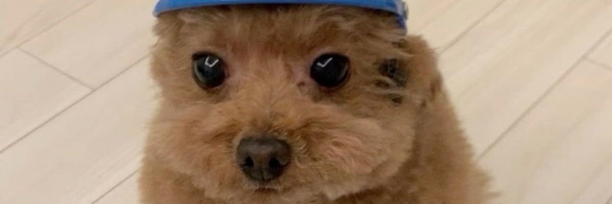MITM777's profile banner image