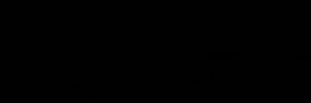 shaan banner