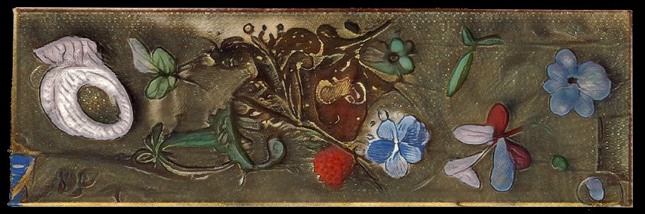 Nicolas Boillot banner