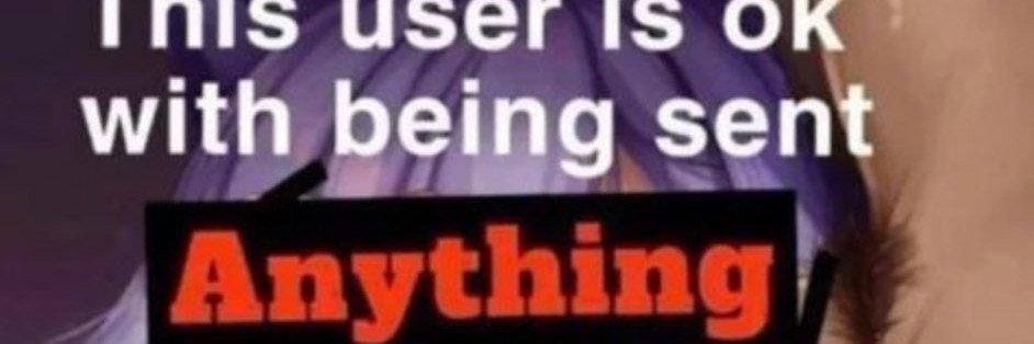 Idoitfornerdshi's profile banner image