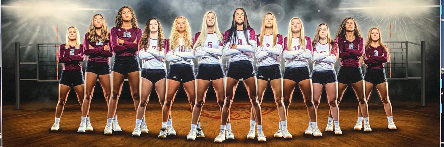 Waverlyvikesvb's profile banner image