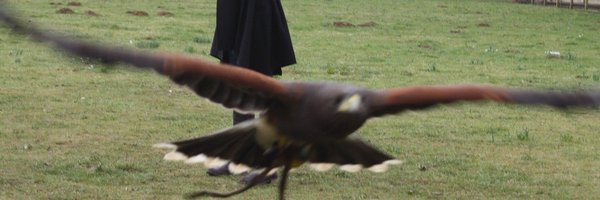 RUNESTCNE Profile Banner