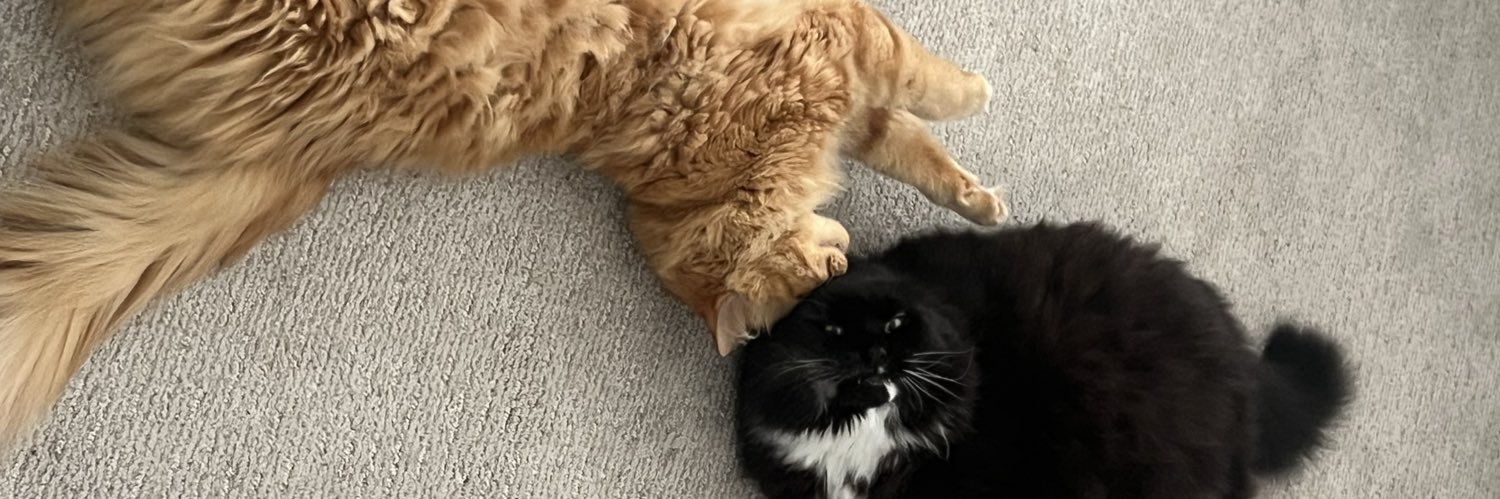 Miles the Mighty banner